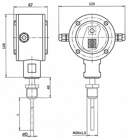 Overall dimensions of the temperature transducer PT-1-D (case version B )